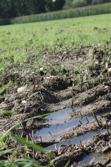 tractor-507674_960_720